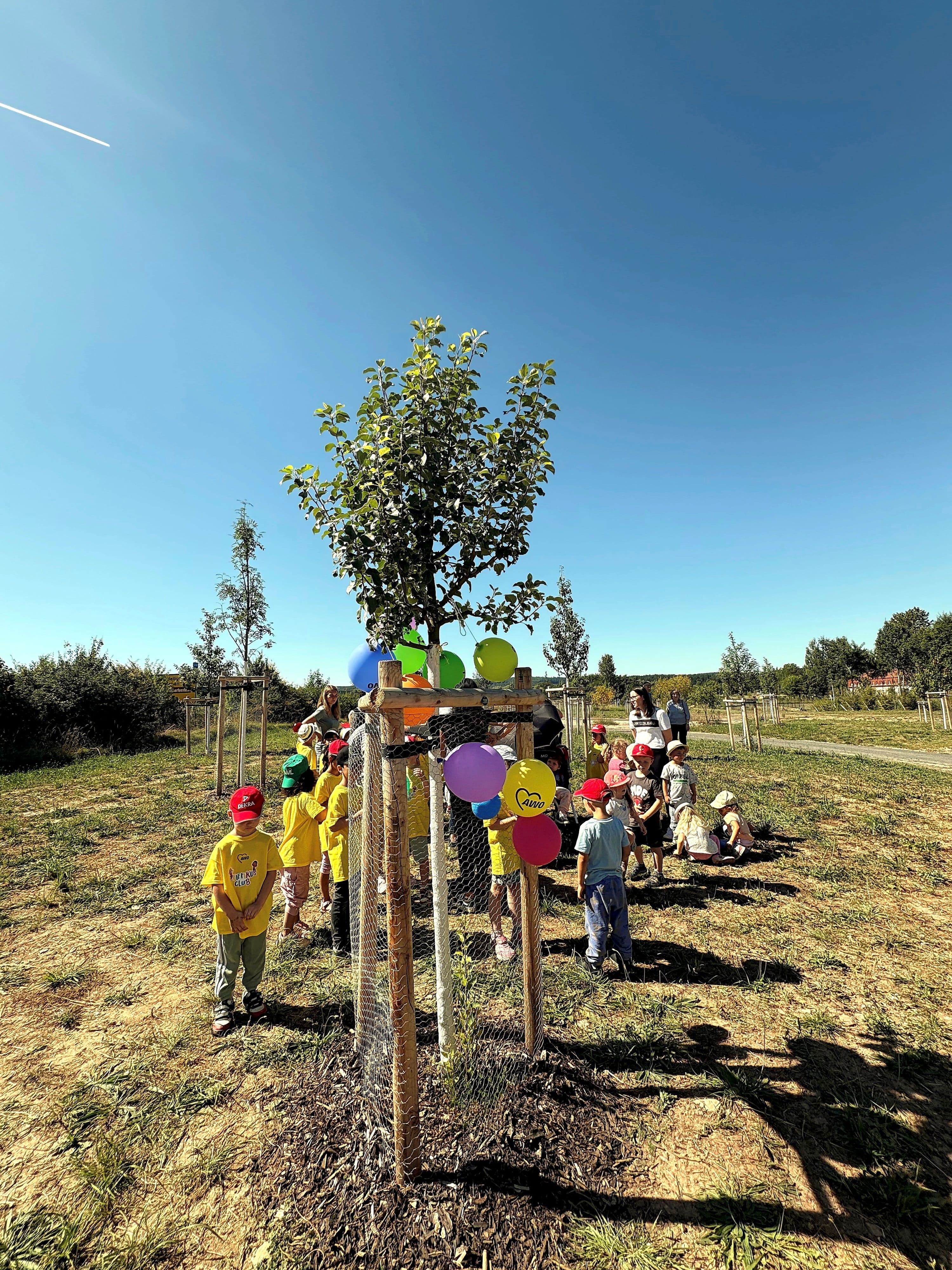 Landesgartenschau Leinefelde-Worbis 2026 startet durch