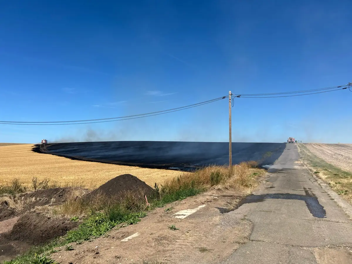 LPI-NDH: Flächenbrand bei Bad Langensalza - Mehrere Hektar betroffen